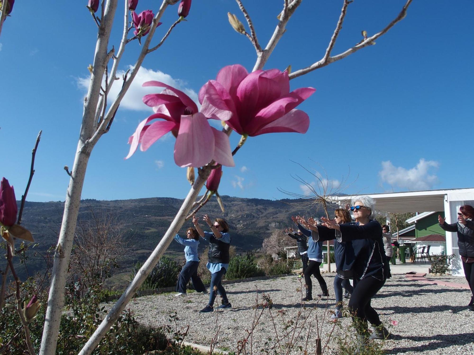 Ktima Noosfera Wellness & Retreat Center Ξενοδοχείο Καρυά Εξωτερικό φωτογραφία