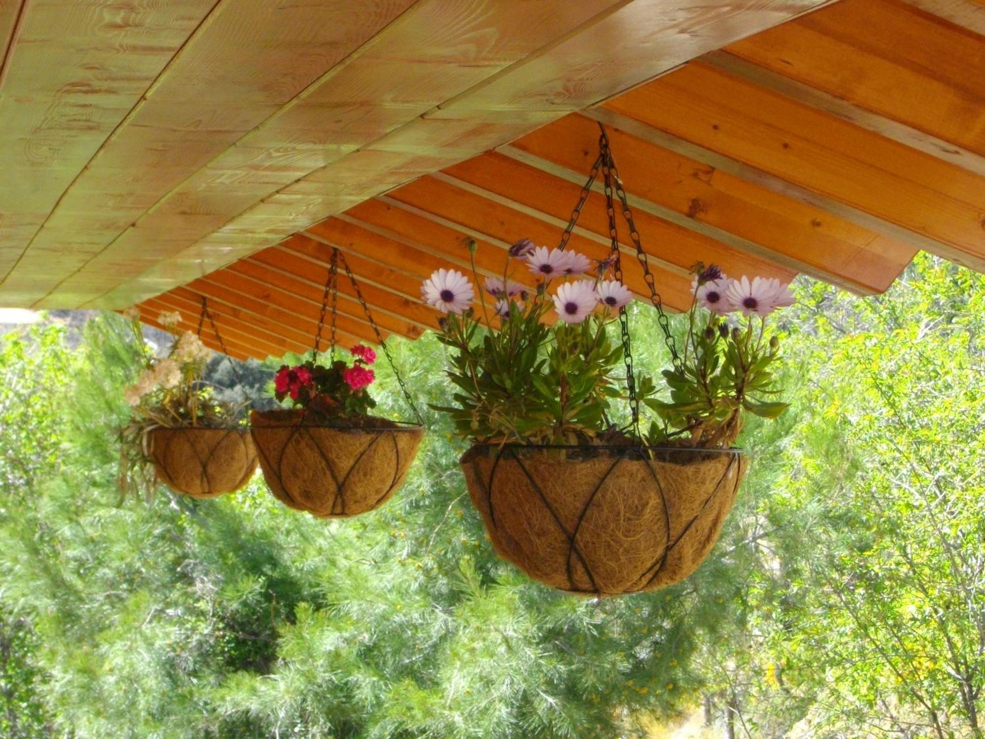 Ktima Noosfera Wellness & Retreat Center Ξενοδοχείο Καρυά Εξωτερικό φωτογραφία