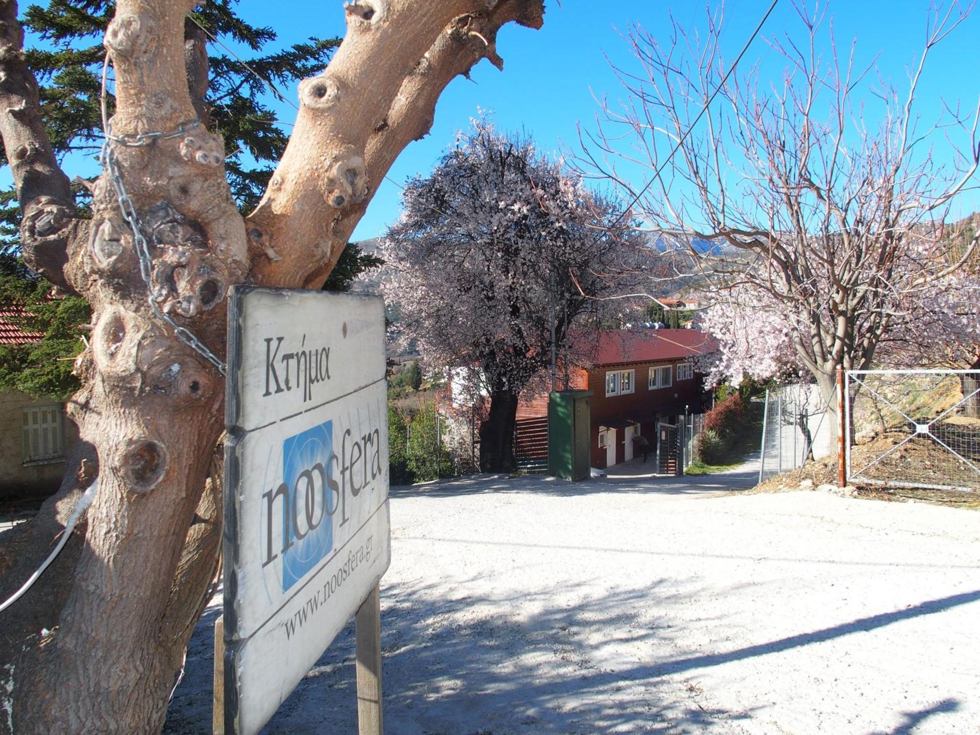 Ktima Noosfera Wellness & Retreat Center Ξενοδοχείο Καρυά Εξωτερικό φωτογραφία