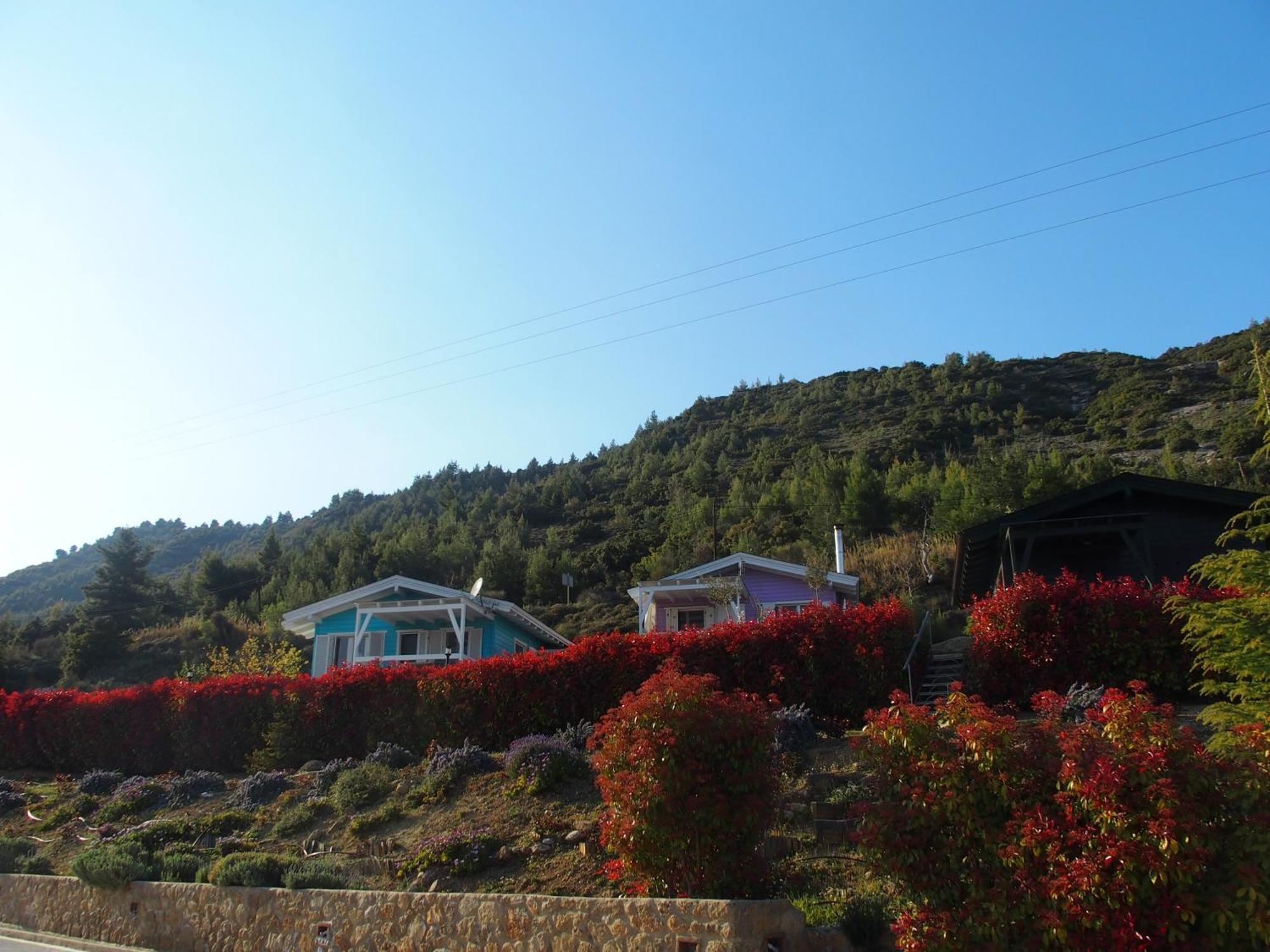 Ktima Noosfera Wellness & Retreat Center Ξενοδοχείο Καρυά Εξωτερικό φωτογραφία